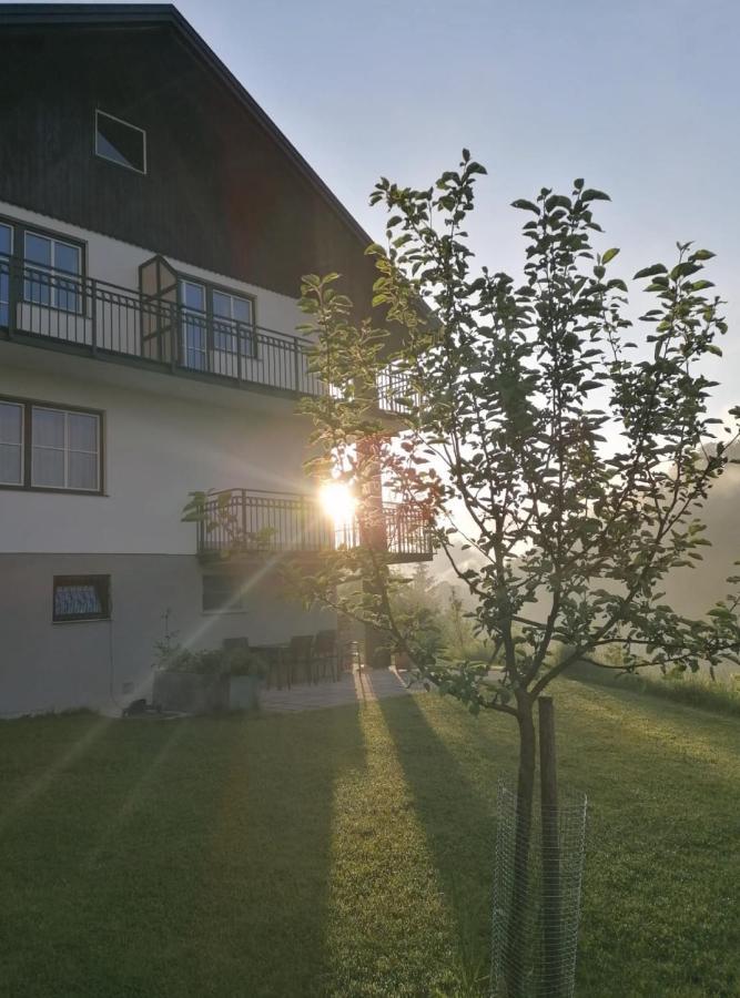 Apartmenthaus Eisenstraße Lunz am See Exterior foto